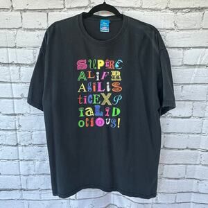 Disney Mary Poppins Supercalifragilisticexpialidocious T Shirt FLAWED Sz XLarge